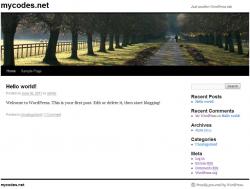 WordPress 4.9.1 Ӣİ ʾͼ